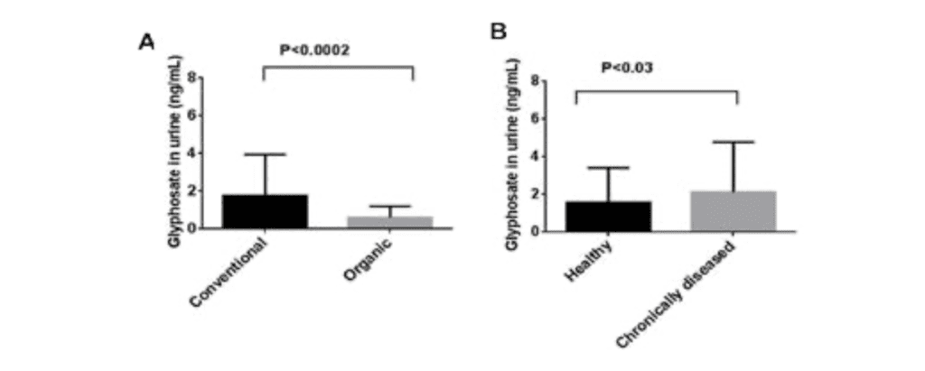 Screenshot 2025 03 12 at 7.35.32 PM